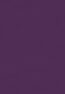 T056611-GrapeVine_grande