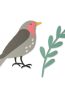 664460_fly_the_nest_lr_1